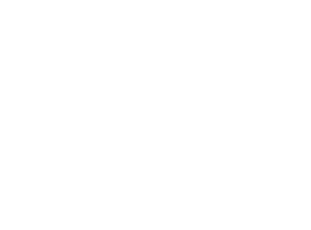 braw beard brand